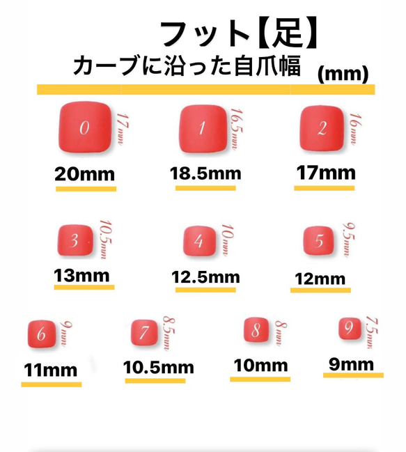 フット　測定用チップ 2枚目の画像