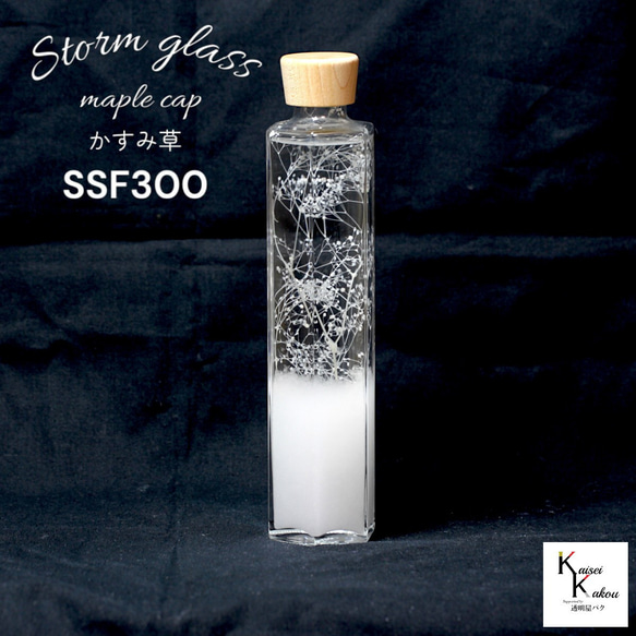 了解天氣！ 「風暴草與霞草楓木帽 SSF300」氣像管氣象聖誕樹菲茨 第1張的照片