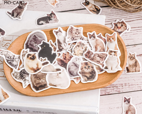 にゃ様※コラージュ素材　スニペットロール　(デコレーションほぼ無しタイプ)手染め にゃ様※コラージュ素材スニペットロール(デコレーションほぼ無しタイプ