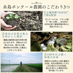 糸島育ちの『菊いも・紫菊いもチップス』2種セット 8枚目の画像