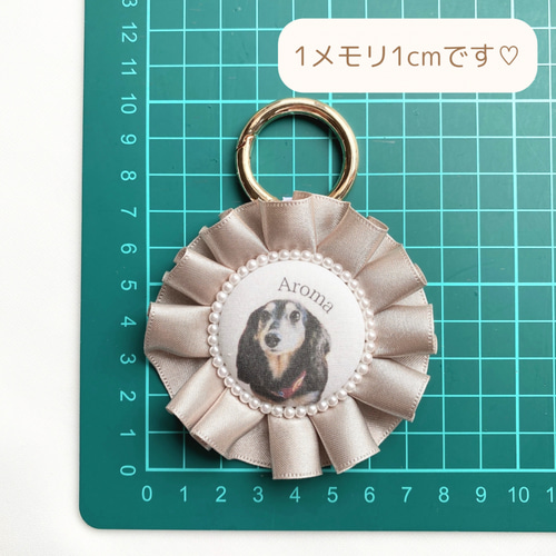 全12色】うちの子キーホルダー チャーム 犬 猫 モルモット