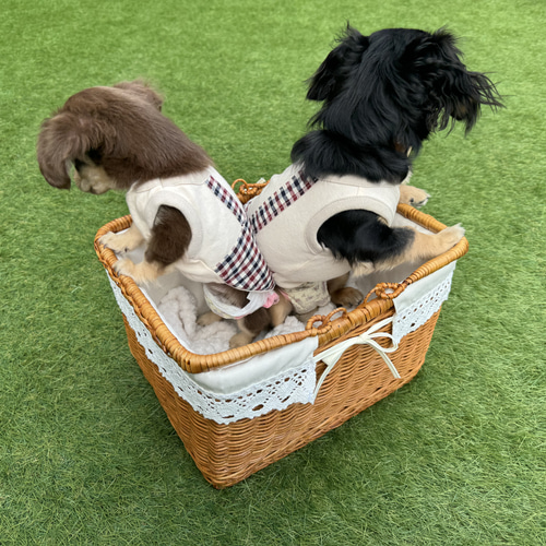 いちごジャム』犬服ハンドメイド 犬服セミオーダー チェック