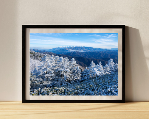 0f3dae9e9a2b79cfe14e6ee8405b53