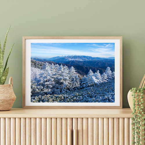 富士見台高原の霧氷と中央アルプスの山々 インテリアアートポスター