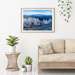富士見台高原の霧氷と中央アルプスの山々　インテリアアートポスター　129 2枚目の画像