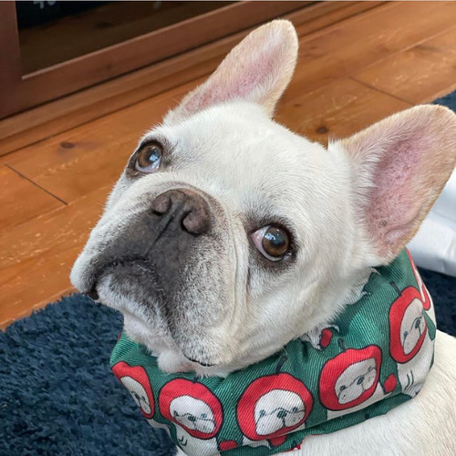 フレブル 服　ハンドメイド　りんごあめメッシュタンクトップ フレブル 服ハンドメイドりんごあめメッシュタンクトップ