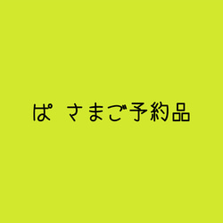 ぱ さまご予約品 1枚目の画像