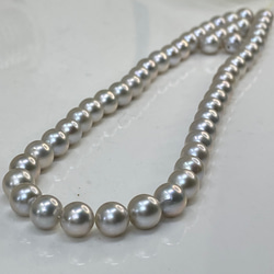 あこや 大珠 グレー ナチュラルカラー ネックレス 9.0〜10.2㎜ M289 あこや 大珠 グレー ナチュラルカラー ネックレス 9.0〜10.2㎜ M289