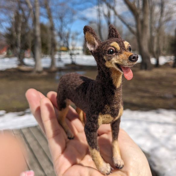 【ドル君♡立ちスタイル】ミニピン　オーダー　羊毛フェルト 3枚目の画像