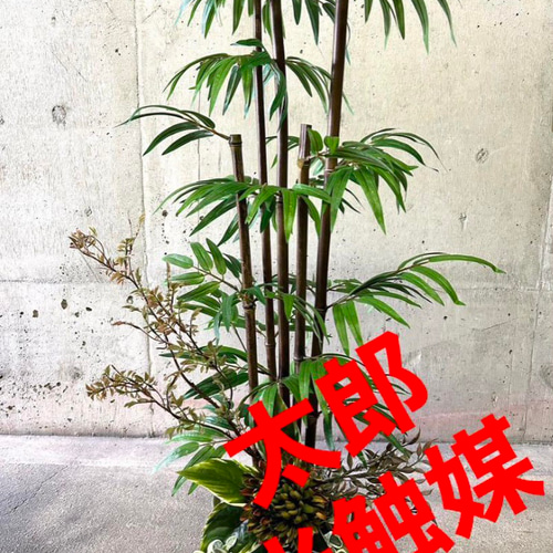 光触媒人工観葉植物ウォールグリーンフェイクアレンジ9999