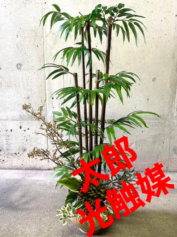 光触媒　人工観葉植物　ウォールグリーン　フェイクグリーン　黒竹アレンジ92 光触媒 人工観葉植物 ウォールグリーン フェイクグリーン 黒竹