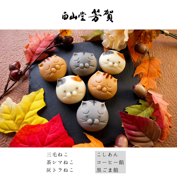  第7張的照片