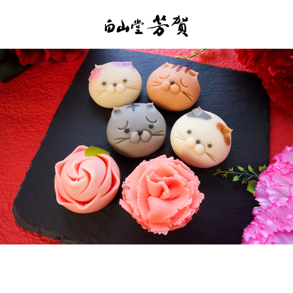  第11張的照片