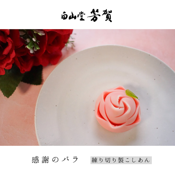  第9張的照片