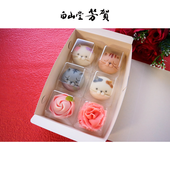  第2張的照片