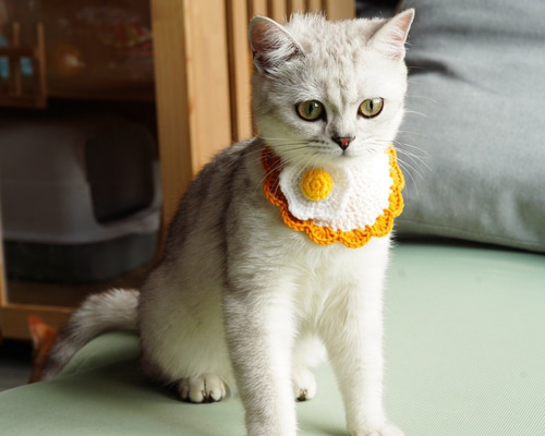 058ddc0587daab30927bb357502ad3