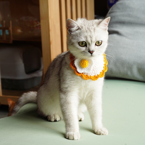 EMY's Gallery 猫襟 ワンちゃん襟 首輪 カギ編み 犬襟 つけ襟 EMY's Gallery 猫襟 ワンちゃん襟 首輪 カギ編み 犬襟 つけ襟