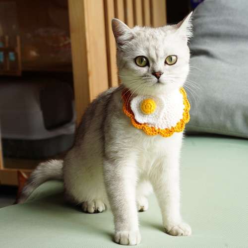 EMY's Gallery 猫襟 ワンちゃん襟 首輪 カギ編み 犬襟 つけ襟 EMY's Gallery 猫襟 ワンちゃん襟 首輪 カギ編み 犬襟 つけ襟