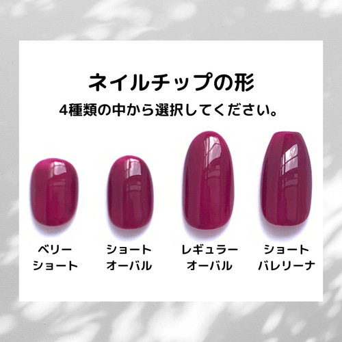 ネイルチップ（22） つけ爪 ニュアンス マグネット ミラー マグネット