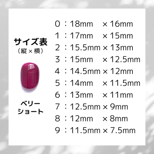 ネイルチップ（22） つけ爪 ニュアンス マグネット ミラー マグネット