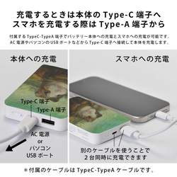 モバイルバッテリー かわいい 充電器 iPhone Android モルモット モナリザ 名画 絵画＊名入れ可 4枚目の画像