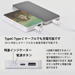 モバイルバッテリー かわいい 充電器 iPhone Android モルモット モナリザ 名画 絵画＊名入れ可 5枚目の画像