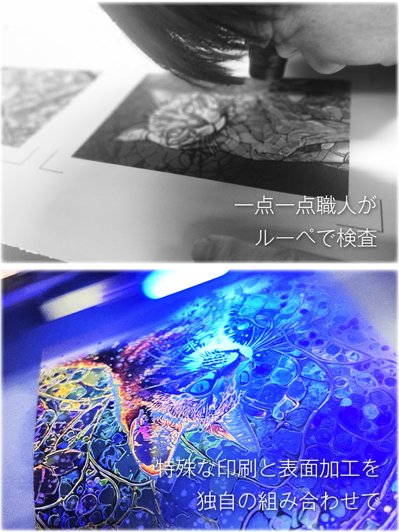 Stained Gloss 01：クリリアンボブテイル【H判】／特殊印刷　額装付き　猫　インテリア　グラフィックアート 6枚目の画像