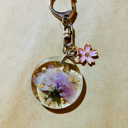 桜の押し花レジンキーホルダー。金箔入り✨ 1枚目の画像