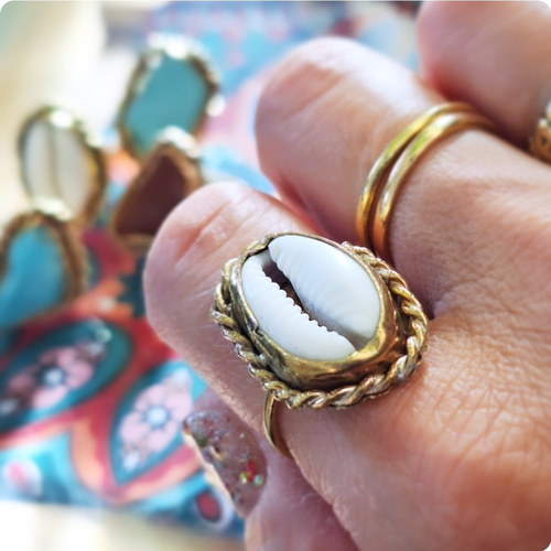 14～15号】カウリーシェル ring 真鍮 貝殻 タカラガイ /大ぶりリング