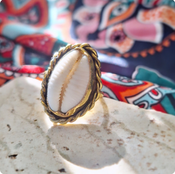 14～15号】カウリーシェル ring 真鍮 貝殻 タカラガイ /大ぶりリング
