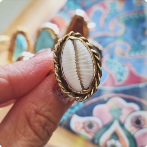 14～15号】カウリーシェル ring 真鍮 貝殻 タカラガイ /大ぶりリング