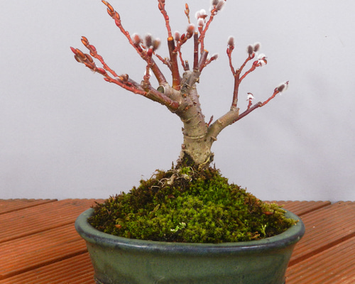 b5551db6ce83552d998ee64b4171bc