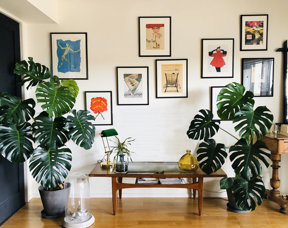 Christian Dior ヴィンテージポスター1960’s 