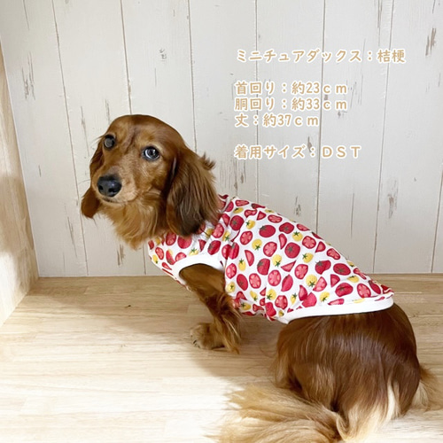 接触冷感タンクトップ もぎたてトマト Dog 犬服 ドッグウェア 夏