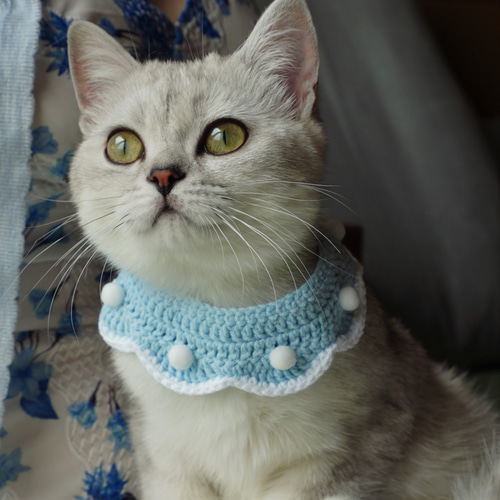 EMY's Gallery 猫襟 ワンちゃん襟 首輪 カギ編み 犬襟 つけ襟
