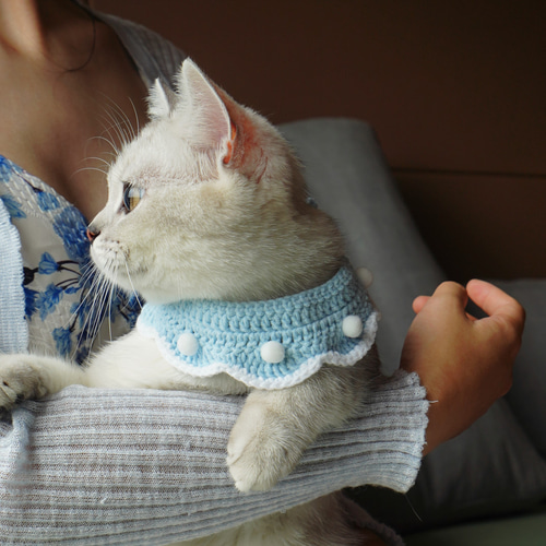 EMY's Gallery 猫襟 ワンちゃん襟 首輪 カギ編み 犬襟 つけ襟