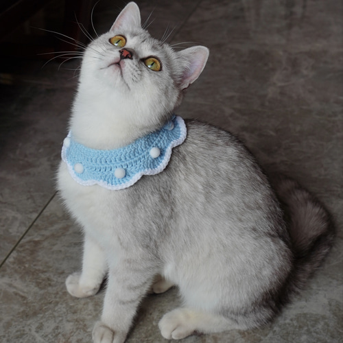 サマーストライプ(水色)わんちゃん猫ちゃん用シャツ襟首輪 サニーストライプカラー - ドッググッズ・猫グッズ通販 free stitch