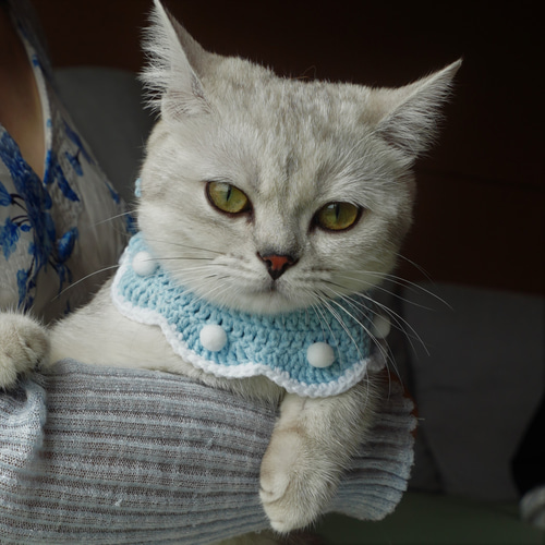 EMY's Gallery 猫襟 ワンちゃん襟 首輪 カギ編み 犬襟 つけ襟