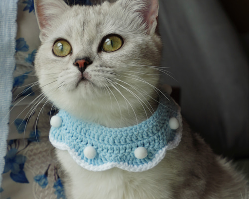 e6e3b2b960a4d5946fd2477fab7a67