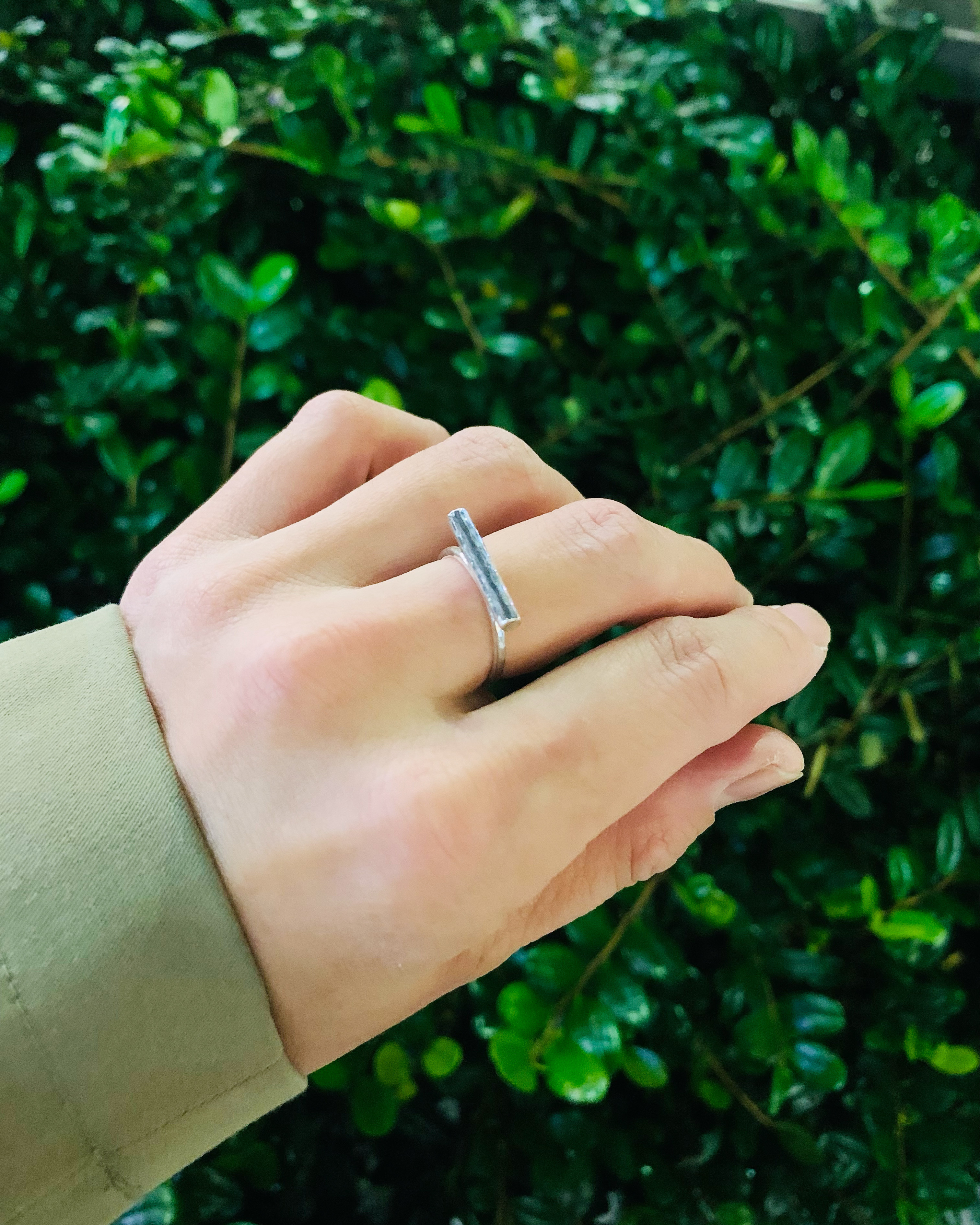 小枝プチリング