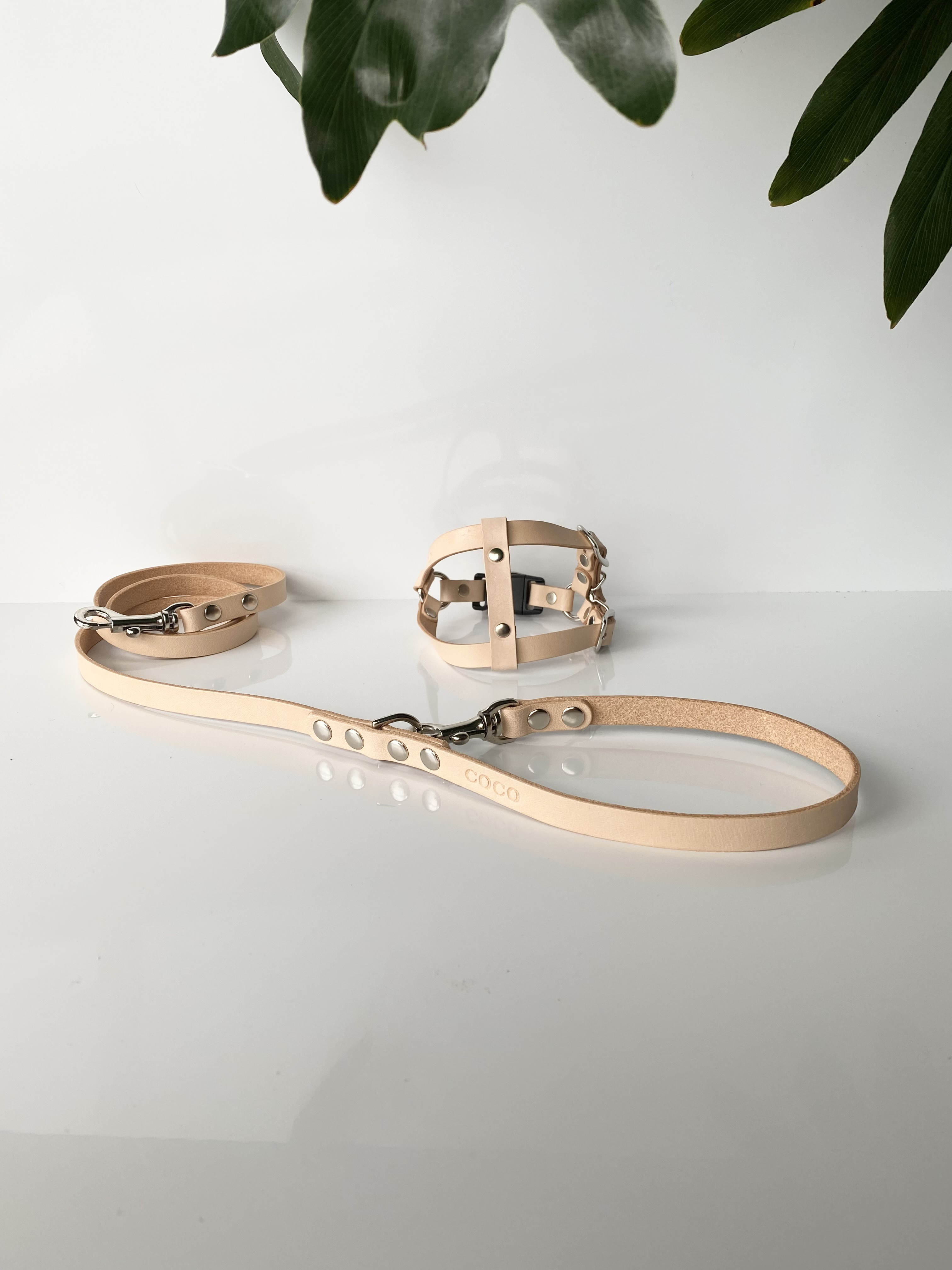 ヌメ革シンプルハーネスセット（小型犬用）