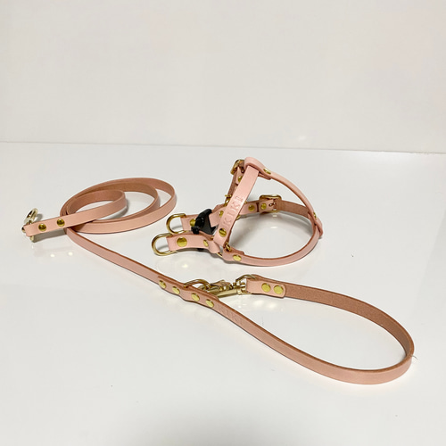 CDOｰSLHS20CEM〈BK〉】犬の首輪〈サイズ「M」〉 牛革 人気