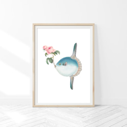 New マンボウ アートポスター (56_sunfish) 1枚目の画像