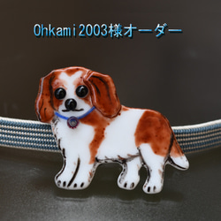 Ohkami2003様オーダー　キャバリアちゃんの帯留め　犬 1枚目の画像