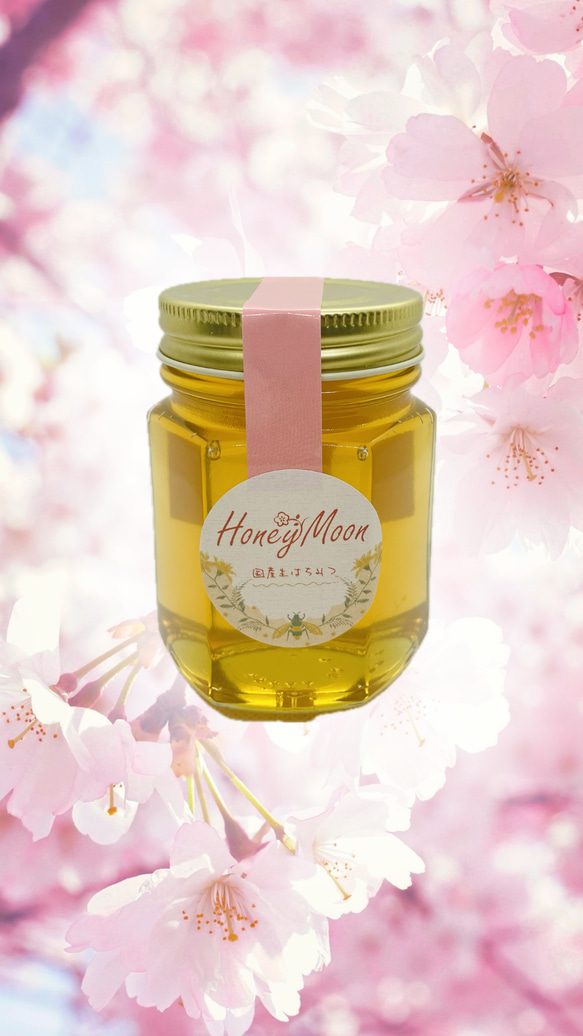 【送料無料】山桜 1kg生はちみつ raw Honey Moon（ハニームーン） 1枚目の画像