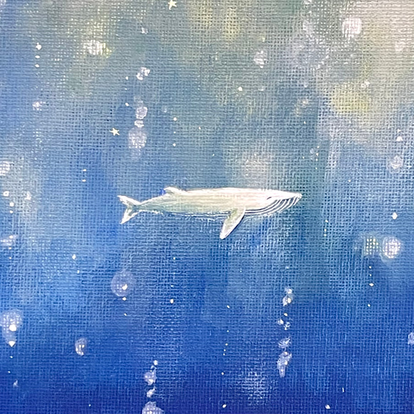 ぼくらが見てる海の世界【クジラ】 2枚目の画像