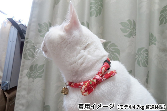 【ご予約品】和柄ちりめん紐☆猫用首輪（若草）：お祭り鈴付き 4枚目の画像