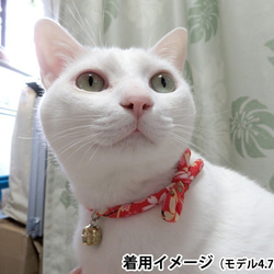 【ご予約品】和柄ちりめん紐☆猫用首輪（若草）：お祭り鈴付き 5枚目の画像