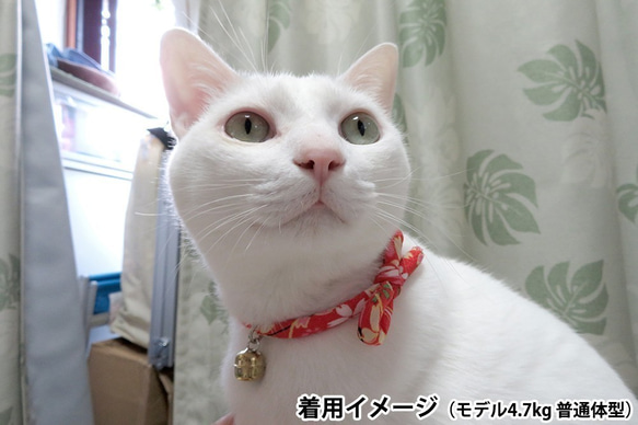 【ご予約品】和柄ちりめん紐☆猫用首輪（若草）：お祭り鈴付き 5枚目の画像