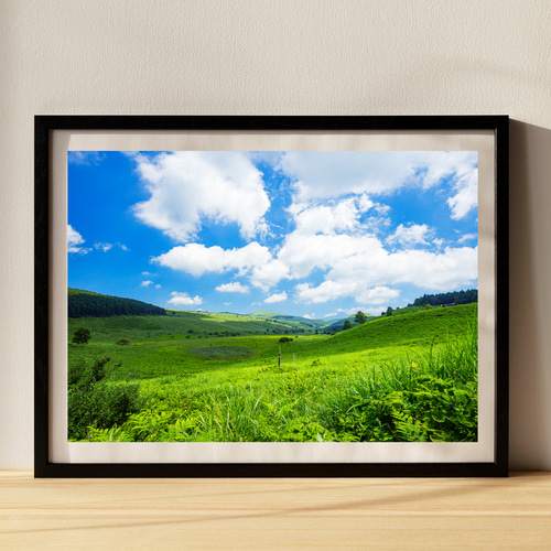 霧ヶ峰高原 インテリアアートポスター IVYL-131 風景 信州 長野 草原